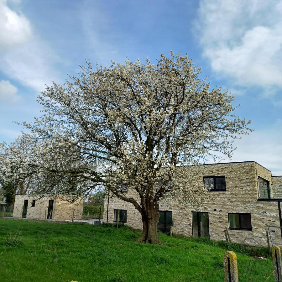 De Molenlos Zottegem Exterior foto